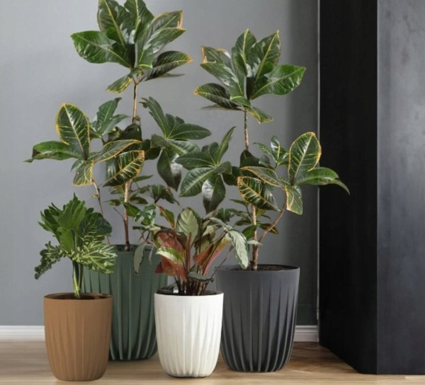 Изображение товара Кашпо Lamela Mira / LA516-05 (белый)