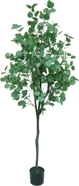 Изображение товара Искусственное растение GreenPark Эвкалипт серебряный доллар / GP-018/165