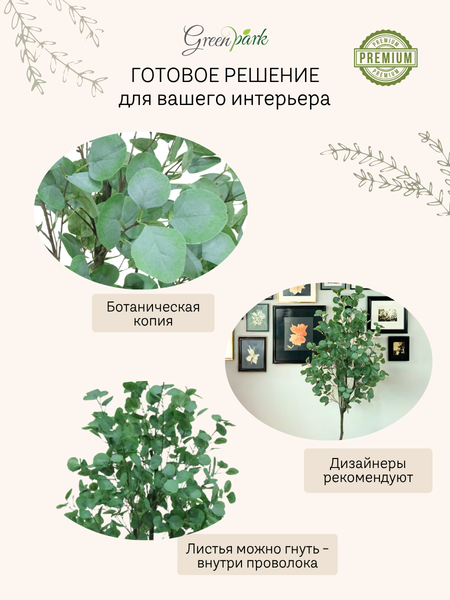 Изображение товара Искусственное растение GreenPark Эвкалипт серебряный доллар / GP-018/165