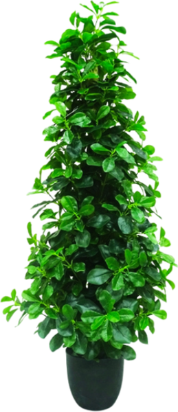 Изображение товара Искусственное растение GreenPark Фикус микрокарпа / GP-019/145