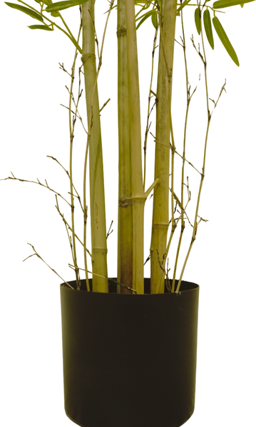 Изображение товара Искусственное растение GreenPark Бамбуковое дерево / GP-020/150