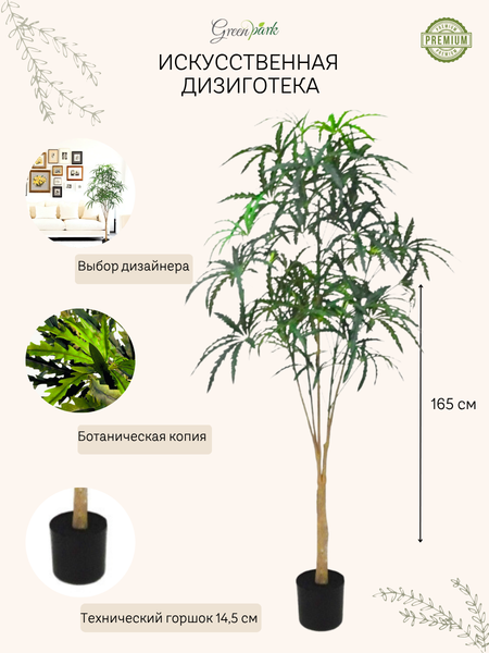 Изображение товара Искусственное растение GreenPark Дизиготека. Плерандра изящная / GP-026/165