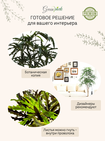 Изображение товара Искусственное растение GreenPark Дизиготека. Плерандра изящная / GP-026/165
