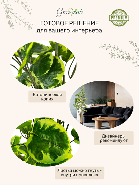 Изображение товара Искусственное растение GreenPark Фикус Лирата пестрый / GP-027/160