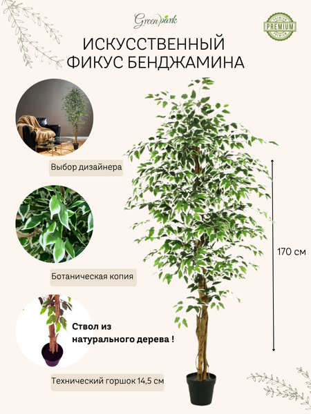 Изображение товара Искусственное растение GreenPark Дерево фикус Бенджамина пестрый / GP-037/170