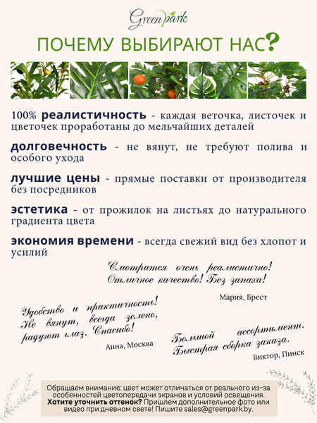 Изображение товара Искусственное растение GreenPark Дерево фикус Бенджамина пестрый / GP-037/170