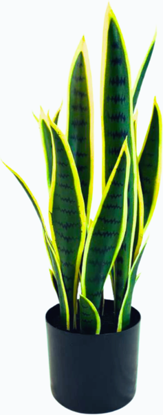 Изображение товара Искусственное растение GreenPark Сансевиерия щучий хвост / GP-051/055