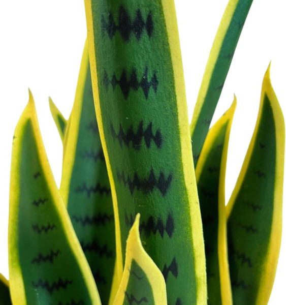 Изображение товара Искусственное растение GreenPark Сансевиерия щучий хвост / GP-051/055