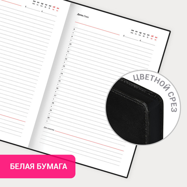 Изображение товара Ежедневник Brauberg Safari. Leopard / 116593 (160л, фиолетовый)