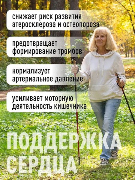 Изображение товара Витаминно-минеральный комплекс LifeON Магний + Витамин В6 (120 капсул)