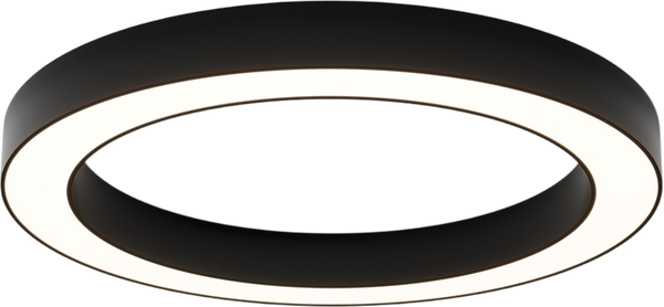 Изображение товара Потолочный светильник Maytoni Lua C093CL-45W4K-B