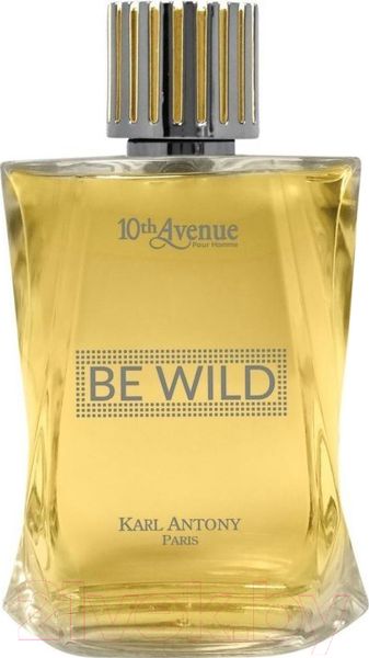 Изображение товара Туалетная вода Jean Jacques Vivier 10th Avenue Be Wild (100мл)
