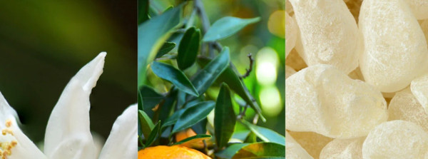Изображение товара Парфюмерная вода Fiilit Parfum Du Voyage Amante Andalucia (11мл)