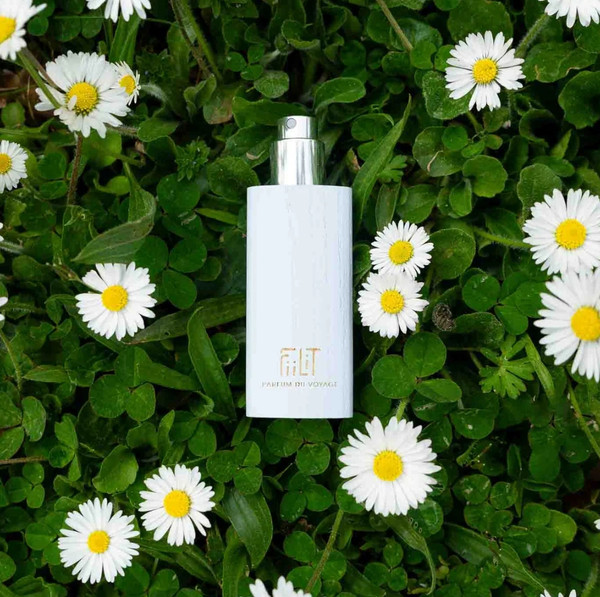 Изображение товара Парфюмерная вода Fiilit Parfum Du Voyage Ice Boreal (11мл)
