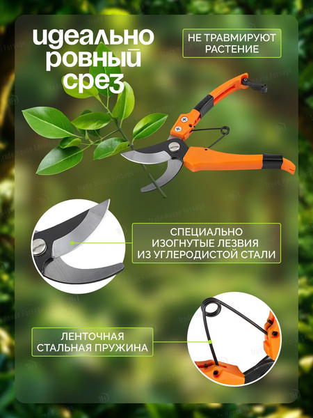 Изображение товара Секатор механический ISMA TG1306026 (59110)