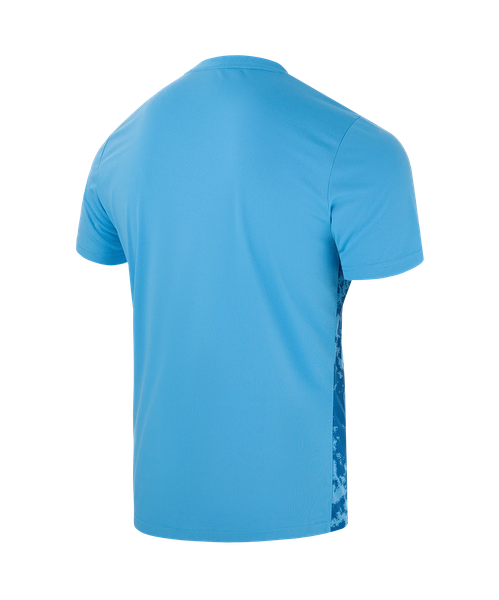 Изображение товара Футболка вратарская футбольная Jogel Division Performdry Splash Gk Jersey S2 (L, голубой)