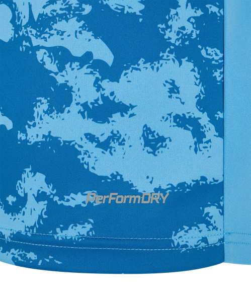 Изображение товара Футболка вратарская футбольная Jogel Division Performdry Splash Gk Jersey S2 (M, голубой)