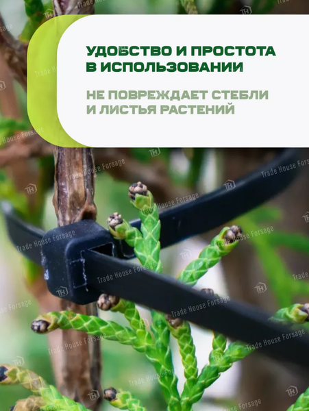 Изображение товара Набор стяжек для кабеля WMC Tools WMC-BT588 (56238), (100шт)