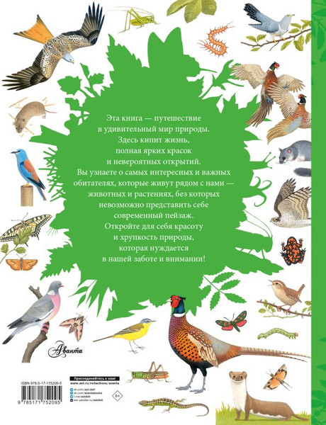 Изображение товара Энциклопедия АСТ Животные рядом с нами, твердая обложка (Мюллер Томас)