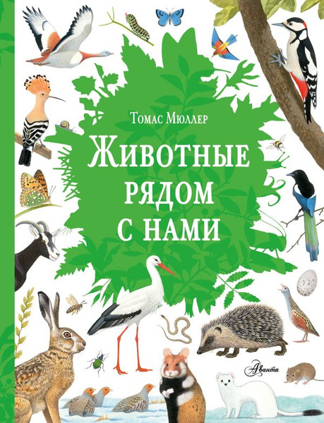 Изображение товара Энциклопедия АСТ Животные рядом с нами, твердая обложка (Мюллер Томас)