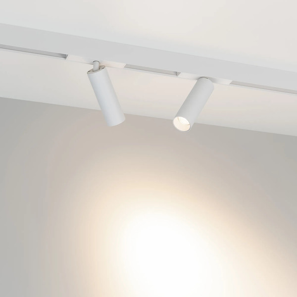 Изображение товара Трековый светильник Arlight MAG-SPOT-25-R120-12W Day4000 WH 30deg / 050076