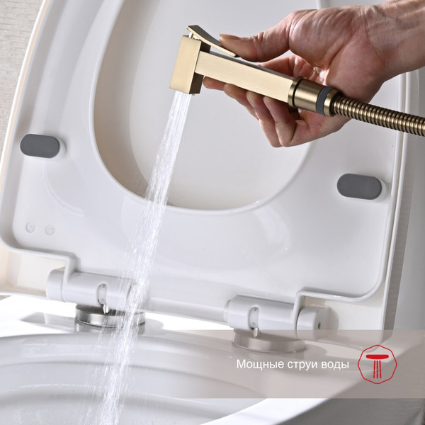 Изображение товара Гигиенический душ со смесителем Raglo R01.52.03