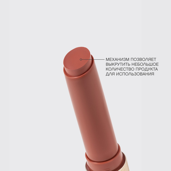 Изображение товара Помада для губ Vivienne Sabo Lala Laque Помада-бальзам тон 06 коричневый (2.5г)