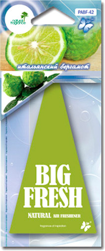 Изображение товара Ароматизатор автомобильный FKVJP Big Fresh Итальянский бергамот PABF-42-1