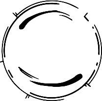 Изображение товара Книга Эксмо Эллигент, мягкая обложка (Рот Вероника)