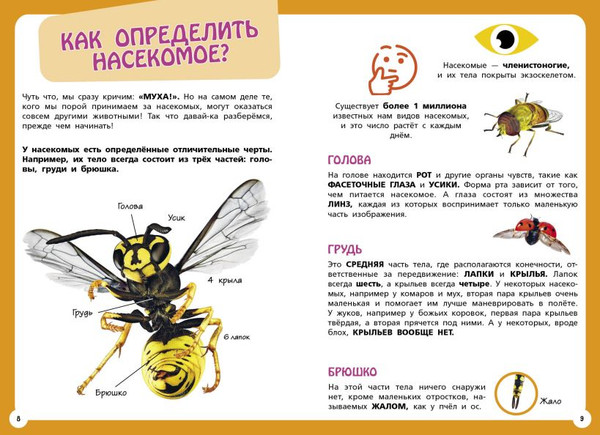 Изображение товара Энциклопедия Эксмо Самые необычные животные и места мира, твердая обложка (Банфи Кристина)