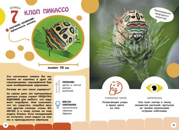 Изображение товара Энциклопедия Эксмо Самые необычные животные и места мира, твердая обложка (Банфи Кристина)