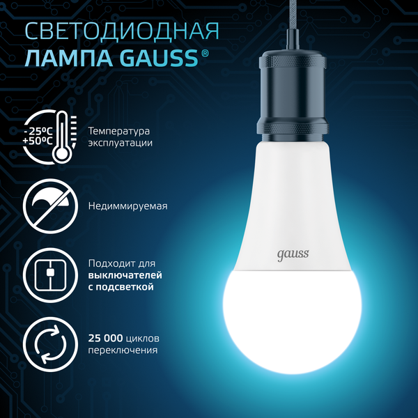 Изображение товара Лампа Gauss A70 22W 2000lm 4100K E27 LED / 102502222