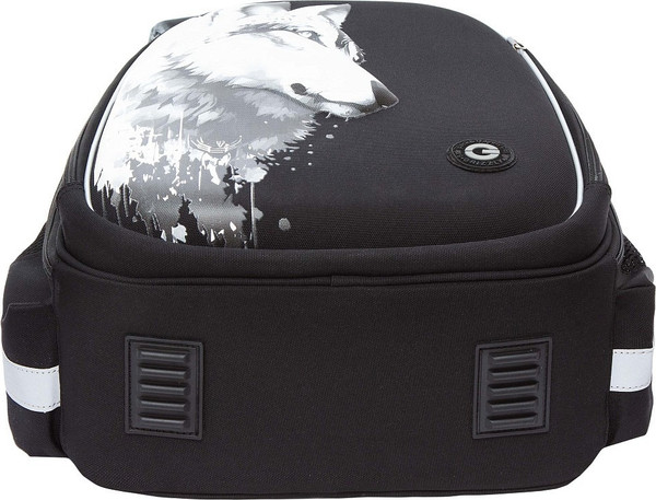 Изображение товара Школьный рюкзак Grizzly RAz-587-2 (черный)