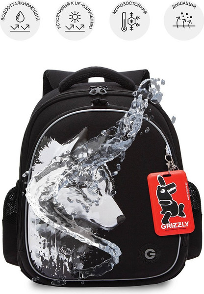 Изображение товара Школьный рюкзак Grizzly RAz-587-2 (черный)