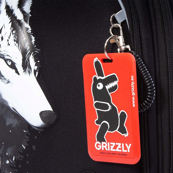 Изображение товара Школьный рюкзак Grizzly RAz-587-2 (черный)