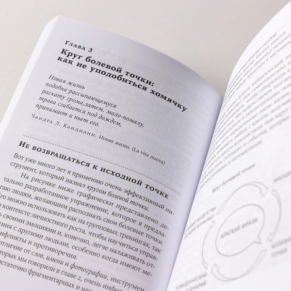 Изображение товара Книга Альпина Мои любимые триггеры, мягкая обложка (Новара Даниэле)