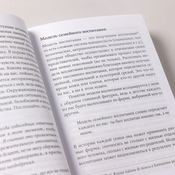 Изображение товара Книга Альпина Мои любимые триггеры, мягкая обложка (Новара Даниэле)