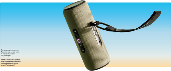 Изображение товара Умная портативная колонка Яндекс Станция Стрит YNDX-00030BLK (черный)