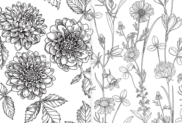 Изображение товара Раскраска АСТ Райский сад, мягкая обложка