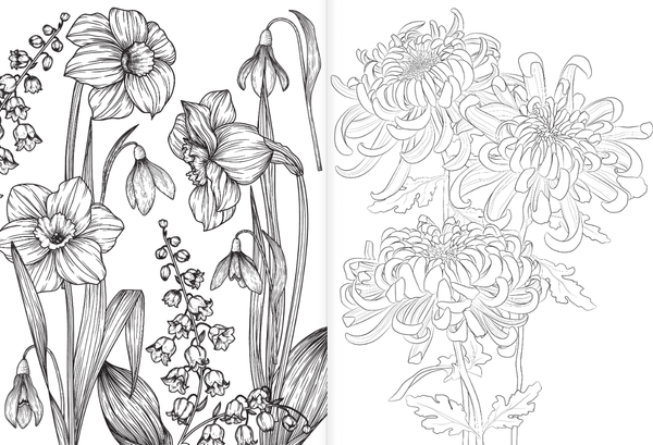 Изображение товара Раскраска АСТ Райский сад, мягкая обложка