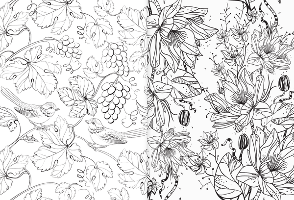 Изображение товара Раскраска АСТ Райский сад, мягкая обложка