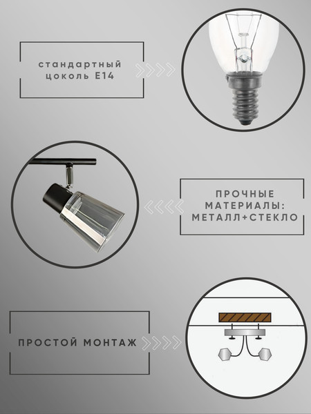 Изображение товара Потолочный светильник Aitin-Pro НПБ 02-2x40-102 / 1434/2 (черный/хром)