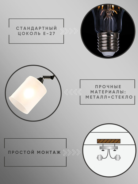 Изображение товара Потолочный светильник Aitin-Pro НПБ 02-2x60-101 / K2316/2 (черный/хром)