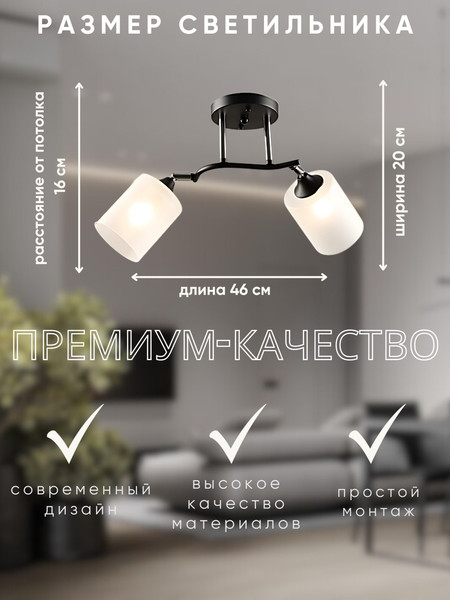 Изображение товара Потолочный светильник Aitin-Pro НПБ 02-2x60-101 / K2316/2 (черный/хром)