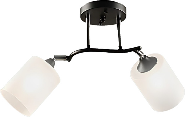 Изображение товара Потолочный светильник Aitin-Pro НПБ 02-2x60-101 / K2316/2 (черный/хром)