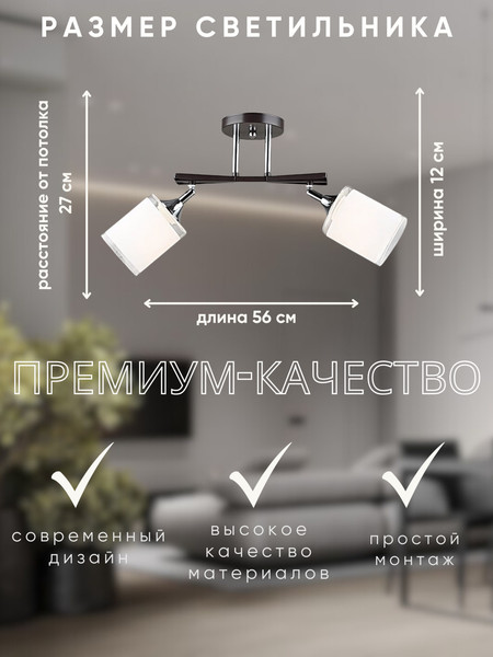 Изображение товара Потолочный светильник Aitin-Pro НПБ 02-2x60-101 / N5959/2 (кофе/хром)