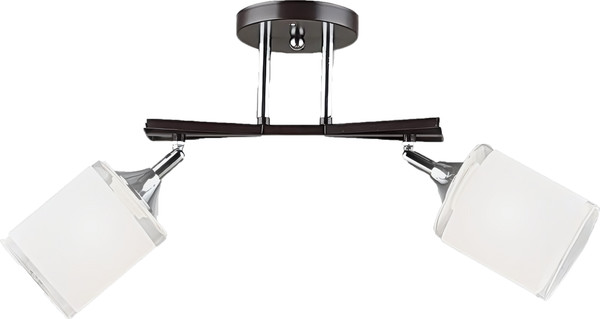 Изображение товара Потолочный светильник Aitin-Pro НПБ 02-2x60-101 / N5959/2 (кофе/хром)