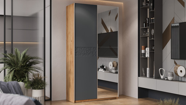 Изображение товара Шкаф-купе ТриЯ Оскар Скания Т2 1200 / 268582 (ручка серебро/дуб крафт золотой/серый графит/графит матовый)