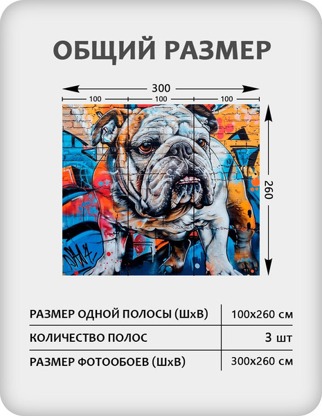 Изображение товара Фотообои листовые Citydecor El Tomasio (300x260см)