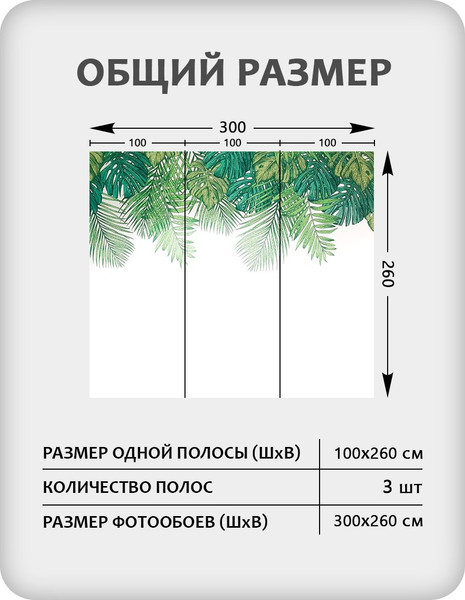 Изображение товара Фотообои листовые Citydecor Цветы и Растения 237 (300x260см)